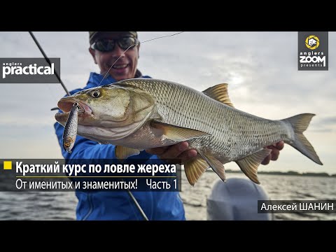 Видео: Краткий курс по ловле жереха – от именитых и знаменитых! Алексей Шанин и Андрей Чернов. Часть 1.