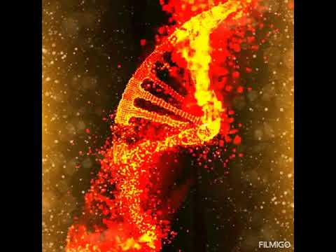 Видео: 🕎🔥❤️ЕДИНЕНИЕ❤️🔥🕎