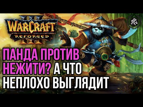 Видео: ПАНДАРЕН ПРОТИВ НЕЖИТИ? А ЧТО ВЫГЛЯДИТ НЕПЛОХО: Warcraft 3 Reforged