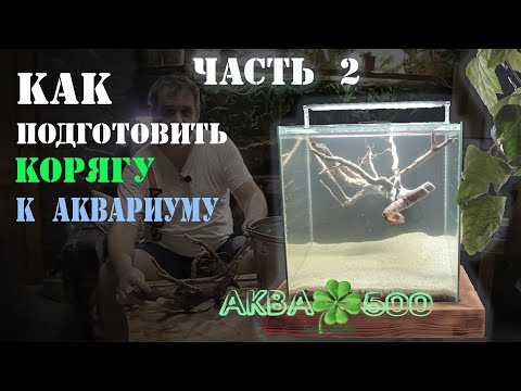 Видео: КОРЯГА увеличивает ЖЁСТКОСТЬ воды/ВЫВАРИВАЮ корягу #Аквариум #АквариумНаЗемле #ЗапускАквариума