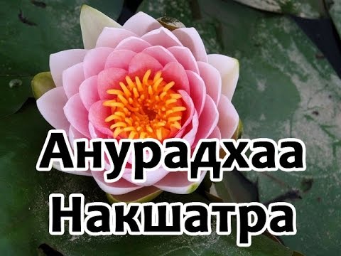 Видео: Секреты накшатр - Анурадха Накшатра