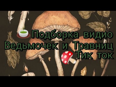 Видео: 🍄ПОДБОРКА ВИДИО ТИК ТОК ДЛЯ ВЕДЬМОЧЕК И ТРАВНИЦ🍄💋 1 часть