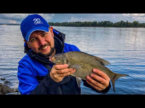 Видео: ГЛАВНЫЕ ОШИБКИ ФИДЕРИСТОВ. Ловля леща на фидер.