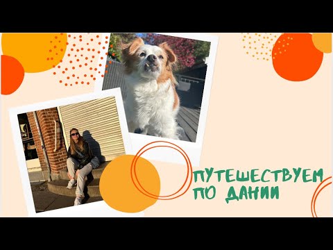 Видео: Небольшое путешествие по Дании + мой сад: посадки, уборка и жучки!