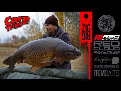 Видео: Ловля карпа на ZIG-Rig / Секретный рецепт прикормки FFEM Baits