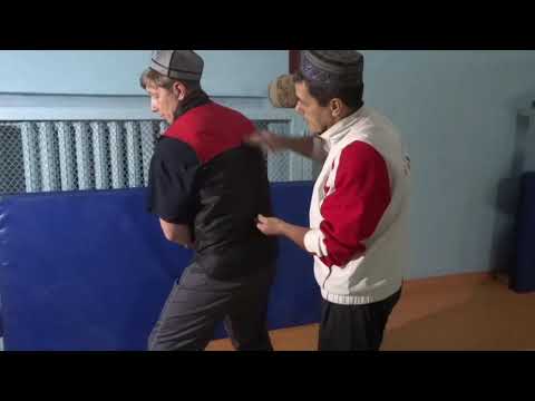 Видео: Беседы о Синьи цюань и Багуа чжан" Conversations on Xinyi Quan and Bagua Zhang