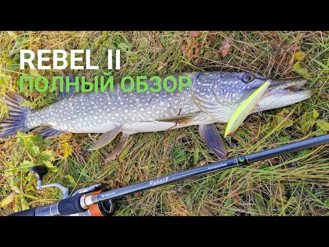 Видео: Бюджетные спиннинги для твичинга Norstream Rebel II. Полный обзор от Кирилла Гущина