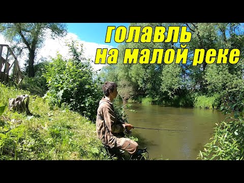 Видео: Даже ОНИ не ПОМЕШАЛИ ловле голавля! Рыбалка на ультралайт, на малой реке