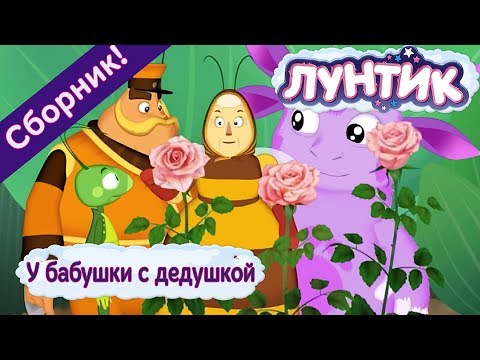 Видео: Лунтик 🌼 У бабушки с дедушкой 🌼 Сборник мультфильмов