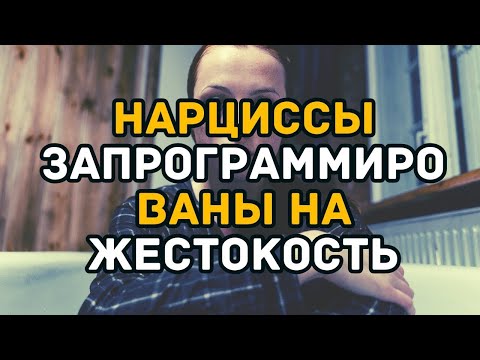 Видео: Нарциссы запрограммированы на жестокость