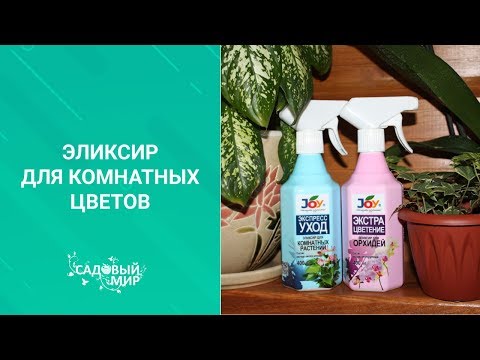 Видео: Натуральный живительный эликсир для комнатных цветов. Буйство красок и быстрый рост.