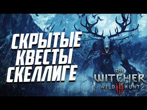 Видео: Скрытые квесты Скеллиге - часть 1 | Ведьмак 3 Дикая Охота