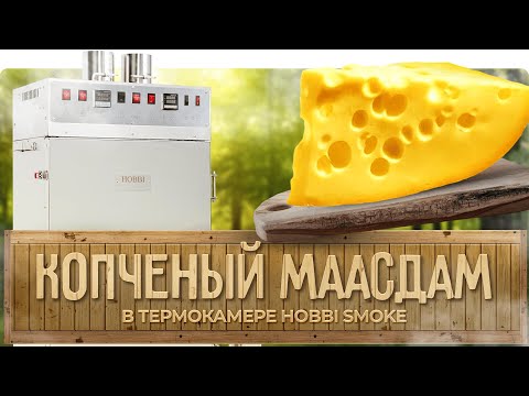 Видео: Копченый сыр в термокамере | ПРОСТОЙ рецепт маасдама