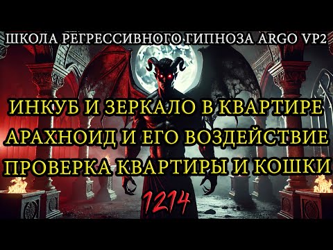 Видео: Инкуб и зеркало в квартире | Арахноид и его воздействие | Проверка квартиры и кошки