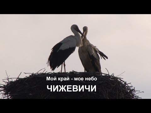 Видео: Мой край - Мое небо  выпуск от 25.04.2018