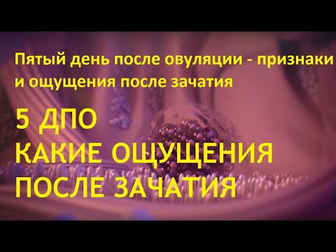 Видео: 🔔5-й ДПО. Что происходит на 5 день после овуляции. 🤰🏻Какие симптомы и признаки в успешном цикле