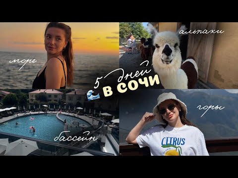 Видео: Vlog// Отдых в Сочи | Красная поляна, ферма альпак, море и бассейн