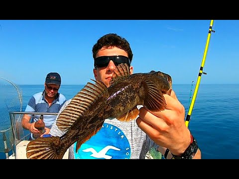 Видео: Три крючка ,четыре бычка.Потрясающая рыбалка на днестровской банке.