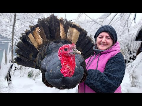Видео: Вкусная Зимняя Кулинария: Вкусовое Путешествие по Домашним Бабушкиным Рецептам
