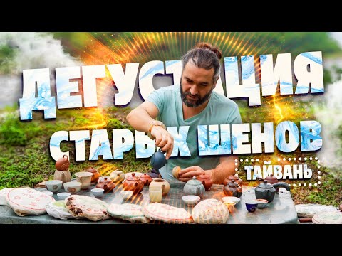 Видео: Дегустация старых Шен пуэров на Тайване