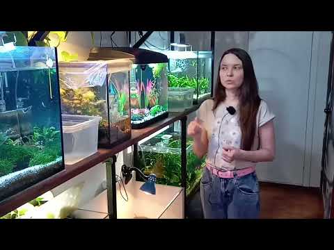 Видео: У меня плохие новости