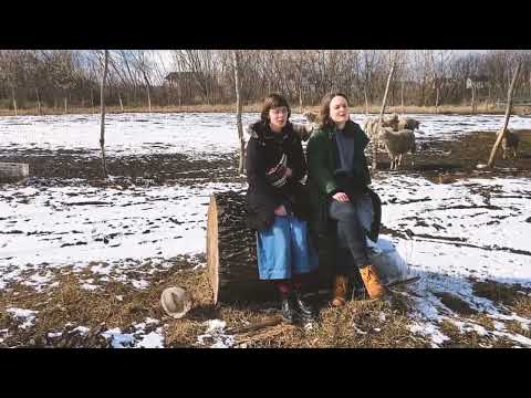 Видео: Із-за гори та ще й з-за лиману