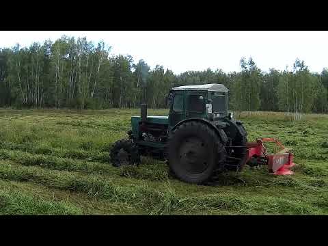 Видео: Фрезерованный сенокос хорош, а Т-40 не очень. Холодный сенокос 2024 в последний день лета