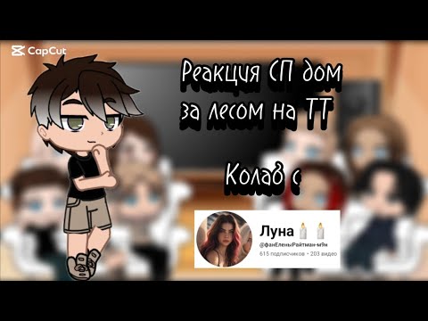 Видео: Реакция СП ДЗЛ на ТТ , колаб с @фанЕленыРайтман-м9н 