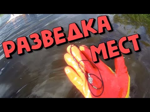 Видео: Поиск на металлоискатель! Разведка мест!