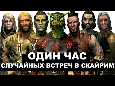 Видео: Skyrim – Один Час Случайных Встреч в Скайрим. ( 5 )