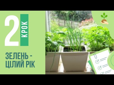 Видео: Зелень -  цілий рік. Крок 2. Петрушка та кріп на підвіконні.