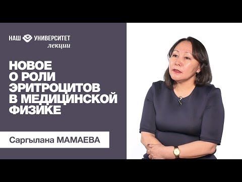 Видео: Новое о роли эритроцитов в медицинской физике - Саргылана МАМАЕВА