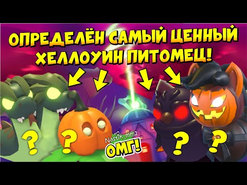 Видео: 🎃ОПРЕДЕЛЕН САМЫЙ ЦЕННЫЙ ХЕЛЛОУИН ПИТОМЕЦ 2024😱🦇 ХЕЛЛОУИН ИВЕНТ!👻❤ + ЛОКАЦИИ ФИОЛЕТОВЫХ ТЫКВ🎃ADOPT ME