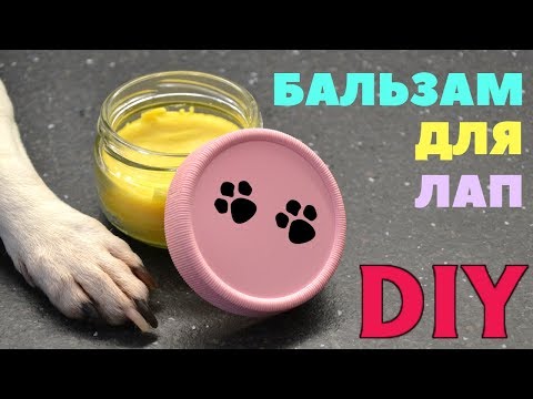 Видео: DIY БАЛЬЗАМ - ВОСК ДЛЯ ЛАП СОБАК