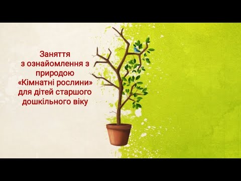 Видео: Заняття з ознайомлення з природою "Кімнатні рослини" для дітей старшого дошкільного віку.