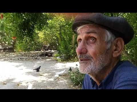 Видео: #Baku #Pigeons.  Всё о Бакинских голубях с уважаемым голубятников Баку д.Вагифом. часть-4