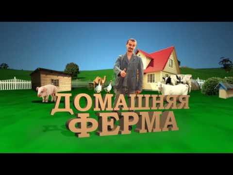 Видео: Домашняя ферма. Нутрии