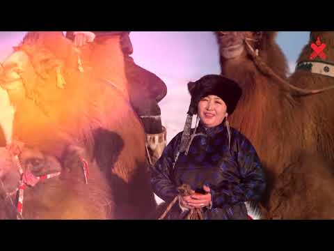 Видео: Тэмээн дээрээс наран ойрхон Клип ок 01,29,