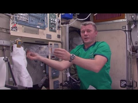 Видео: Обед по-космически