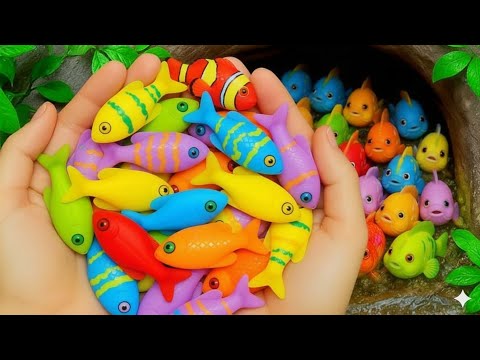 Видео: Поймайте в небольшом пруду разноцветных декоративных рыбок, золотых рыбок, маленьких черепашек, п...