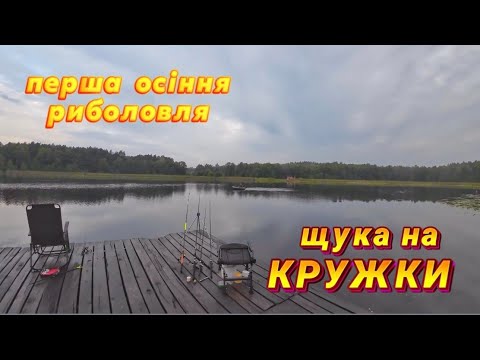 Видео: Розвідка нових місць для риболовлі. В цьому відео ловимо щуку на кружки та насолоджуємося природою.