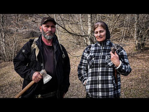 Видео: Мы вернулись. Поход за черемшой