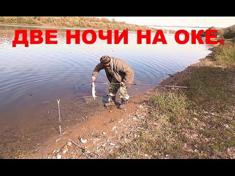 Видео: Рыбалка. Две Ночи на Оке с Больничкой ловим хищника.