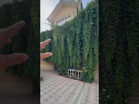 Видео: Тел:0705028222