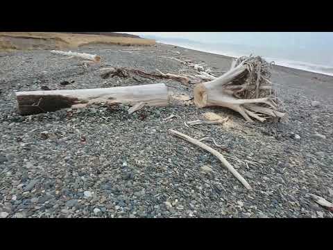 Видео: Погрузка бревен автолебедкой. Loading logs winch