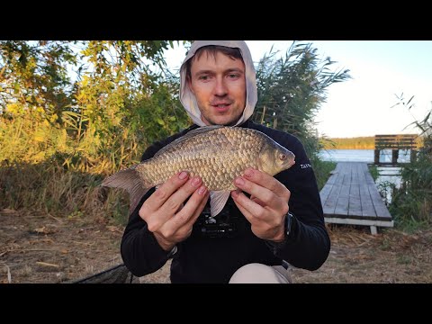 Видео: Как ловить рыбу на платнике? Наглядное пособие для новичка!