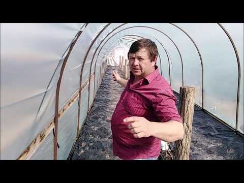 Видео: Парник для малины: как мы делаем?