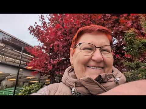 Видео: РОЖДЕСТВЕНСКАЯ ДЕКОРАЦИЯ В МАГАЗИНЕ ОСТМАНН! / 1787