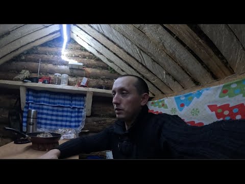 Видео: Промысловая охота на куницу. Быт в избушке. Первый трофей.