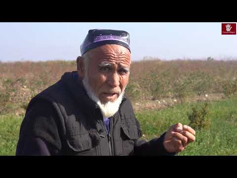 Видео: Халмион айылынын тургундарына укуктук жардам көрсөтүлдү